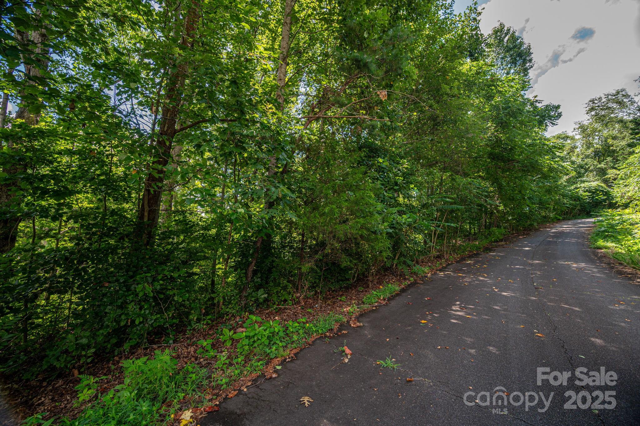 Lot 34 Line Drive Forest City NC 28043