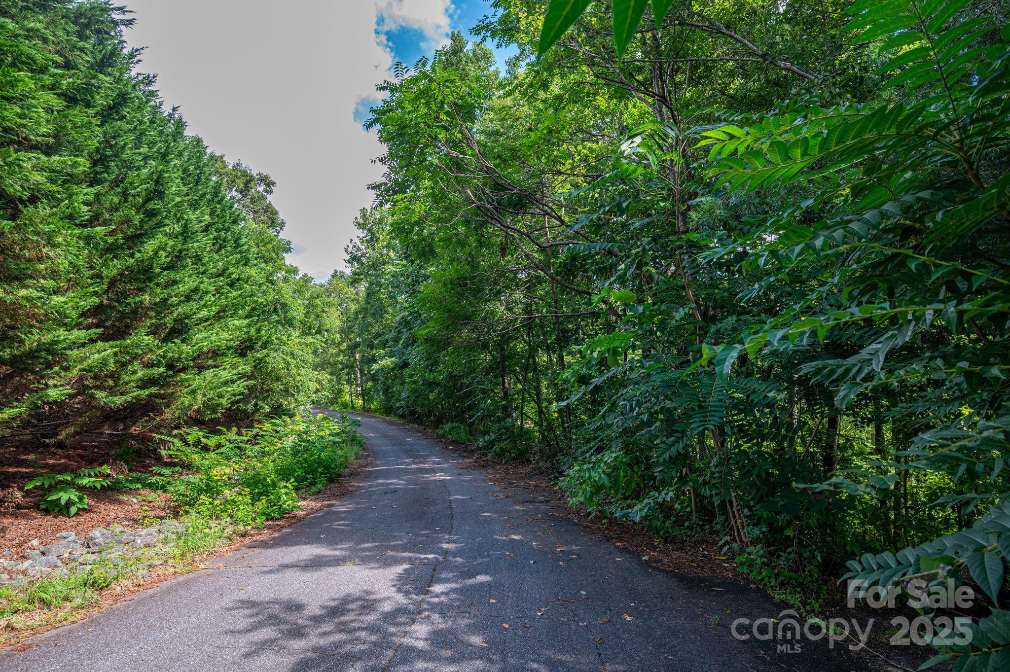 Lot 34 Line Drive Forest City NC 28043