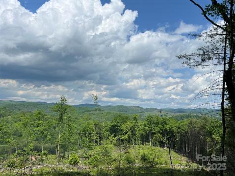 TBD Maines Hill Lane Scottville NC 28663