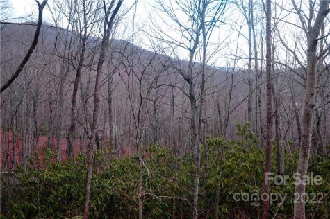 23 Wood Haven Lane Black Mountain NC 28711