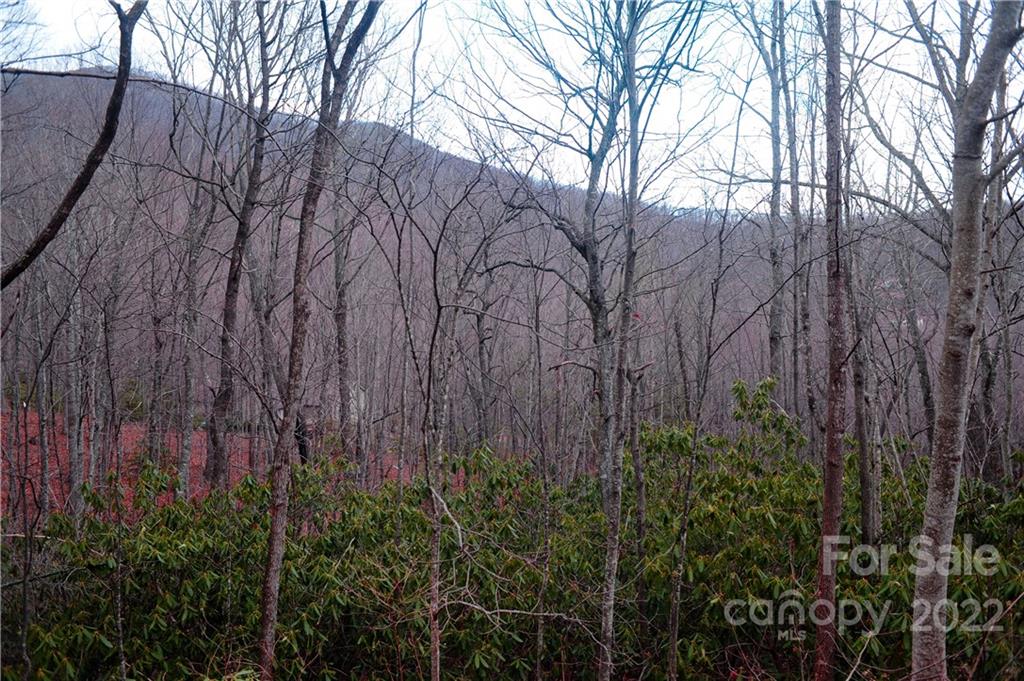 23 Wood Haven Lane Black Mountain NC 28711