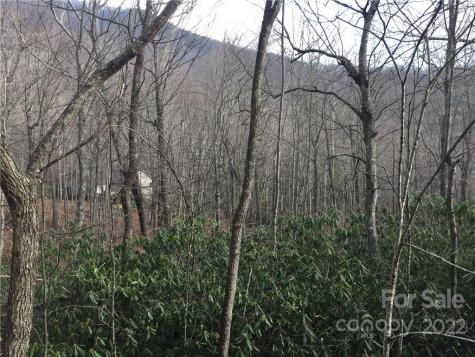 23 Wood Haven Lane Black Mountain NC 28711