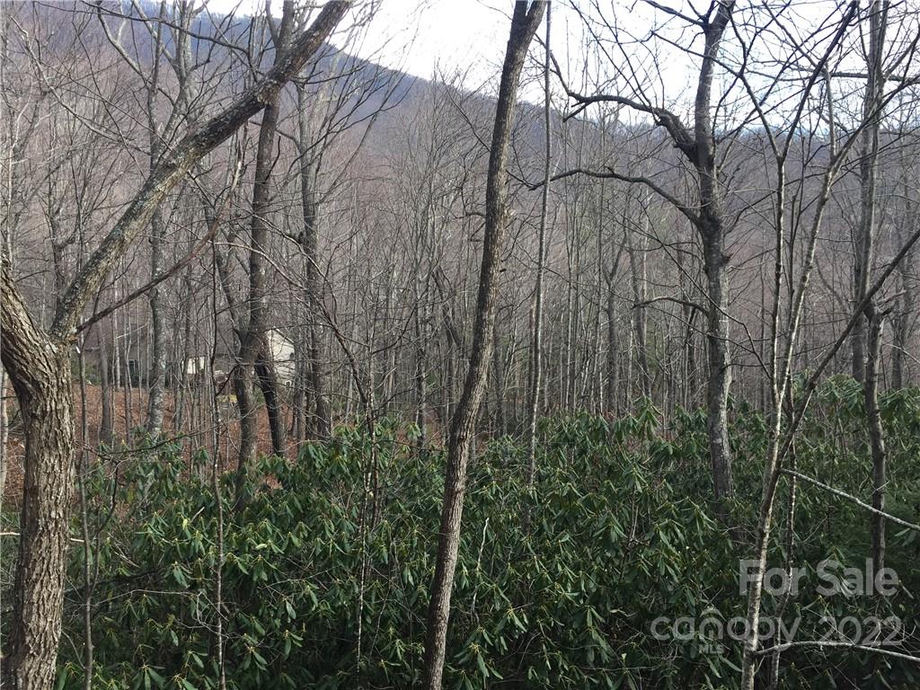 23 Wood Haven Lane Black Mountain NC 28711