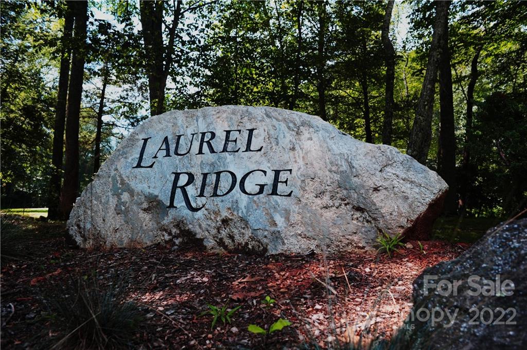23 Wood Haven Lane Black Mountain NC 28711