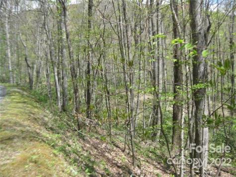 23 Wood Haven Lane Black Mountain NC 28711