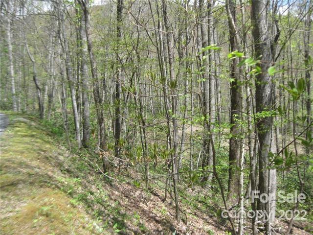 23 Wood Haven Lane Black Mountain NC 28711