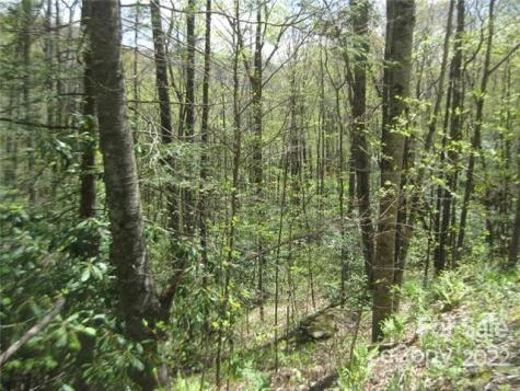 23 Wood Haven Lane Black Mountain NC 28711