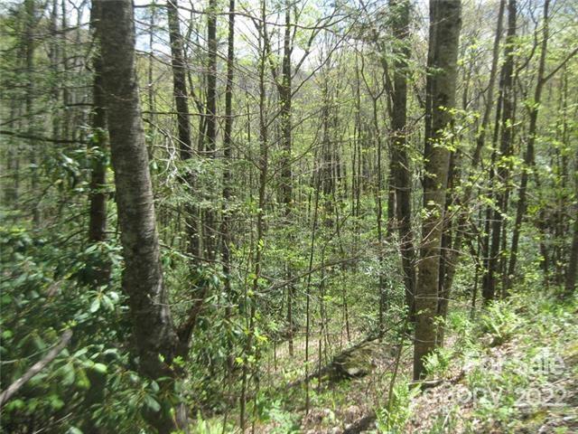 23 Wood Haven Lane Black Mountain NC 28711