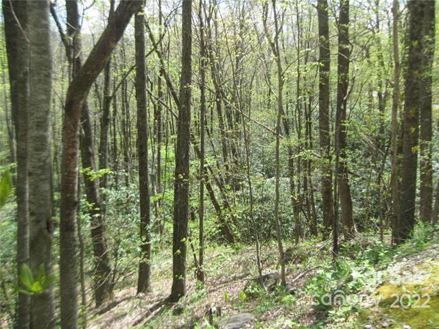 23 Wood Haven Lane Black Mountain NC 28711