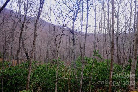 23 Wood Haven Lane Black Mountain NC 28711