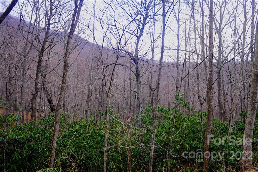 23 Wood Haven Lane Black Mountain NC 28711