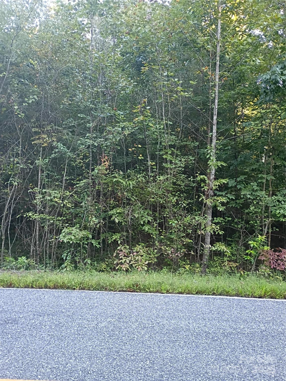 00 Toney Road Bostic NC 28018
