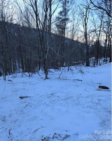 103 Snowplow Lane Beech Mountain NC 28604