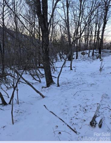 103 Snowplow Lane Beech Mountain NC 28604
