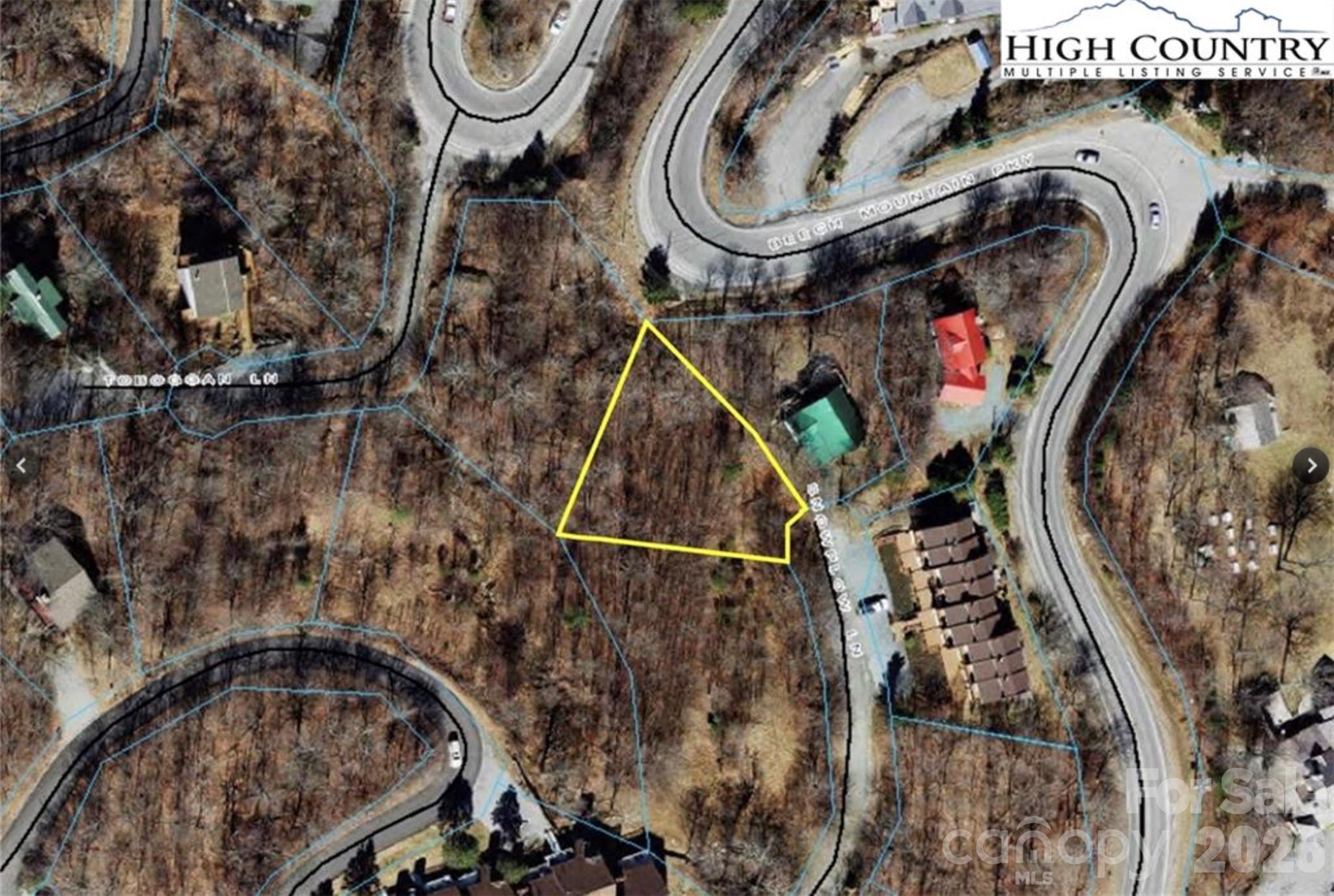103 Snowplow Lane Beech Mountain NC 28604