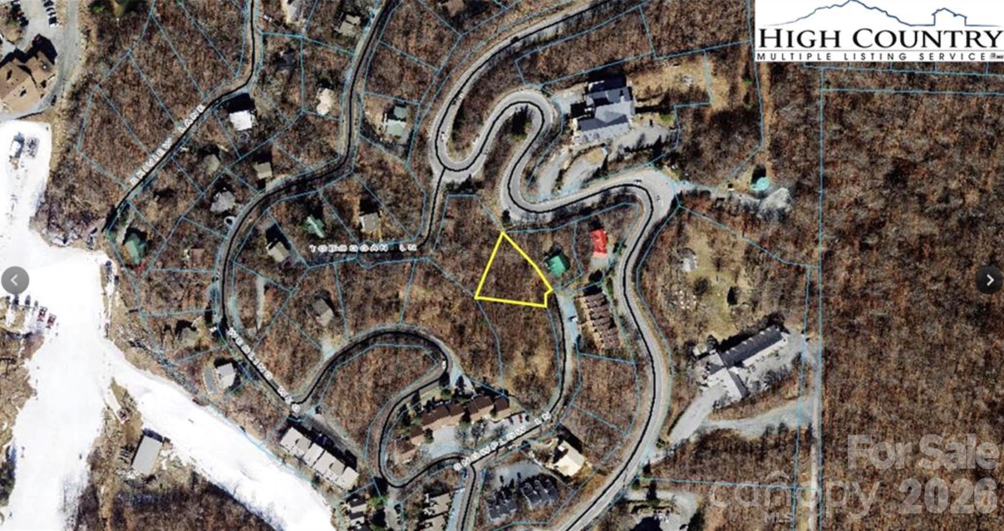 103 Snowplow Lane Beech Mountain NC 28604
