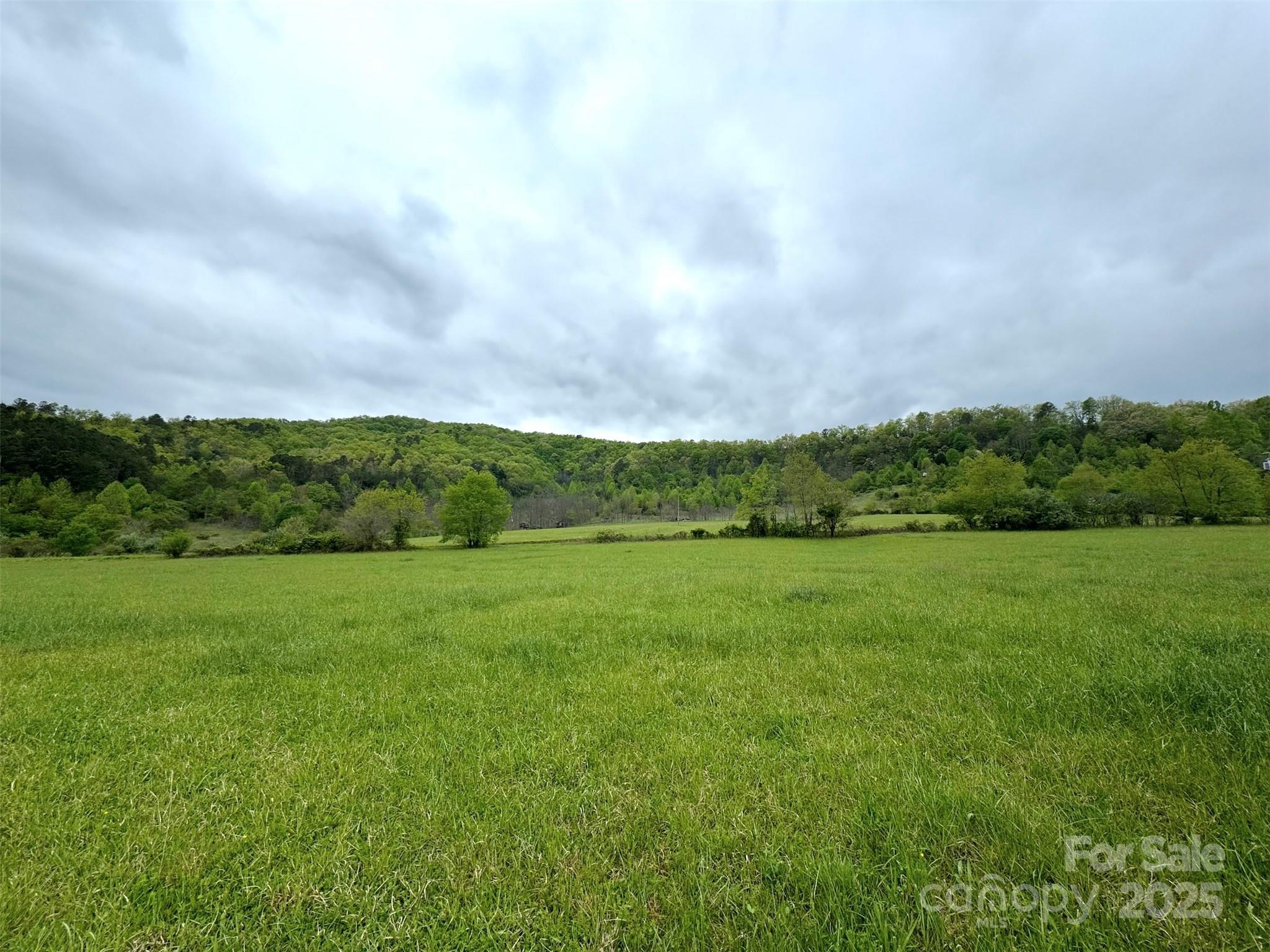 4136 Rose Creek Road Franklin NC 28734