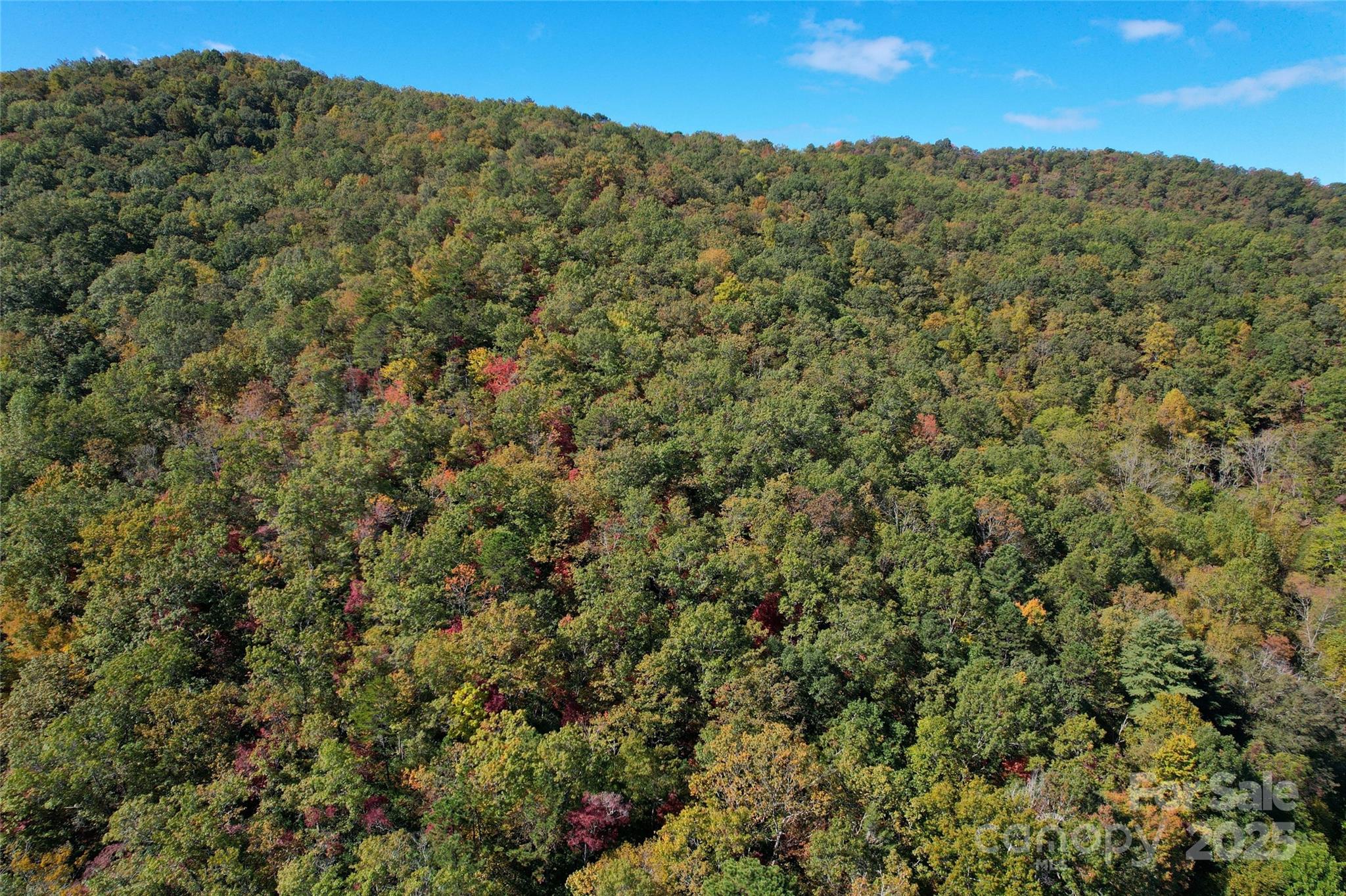 4136 Rose Creek Road Franklin NC 28734