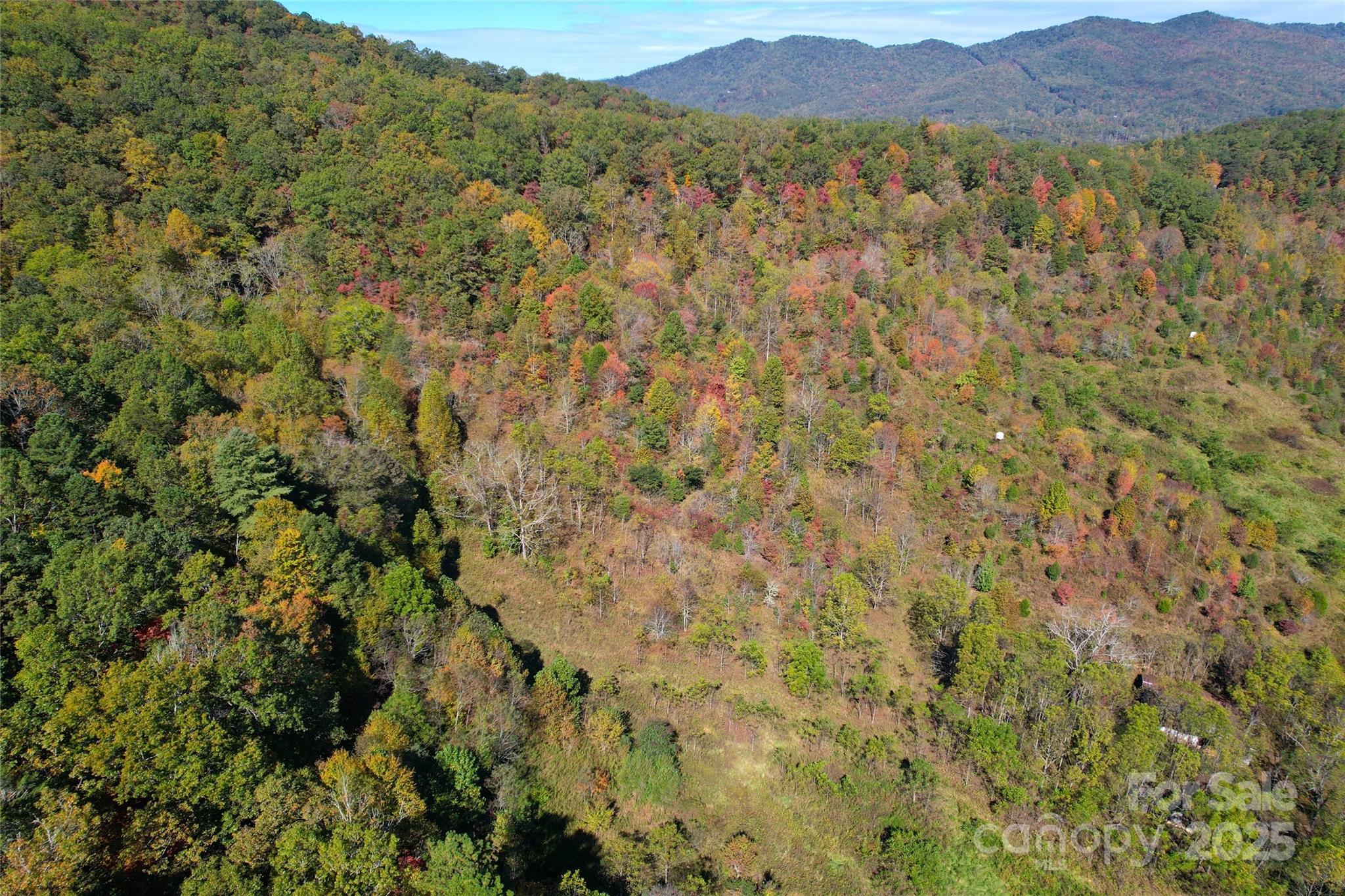 4136 Rose Creek Road Franklin NC 28734