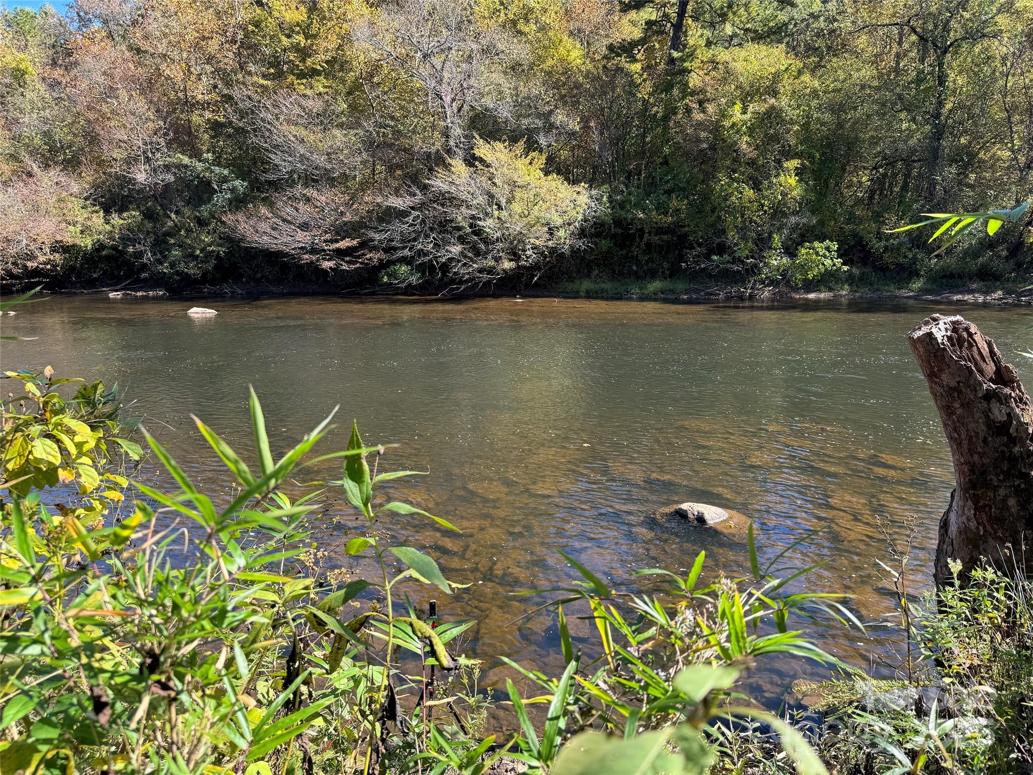 4136 Rose Creek Road Franklin NC 28734
