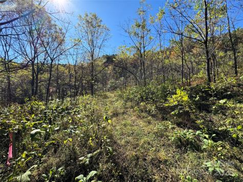 4136 Rose Creek Road Franklin NC 28734