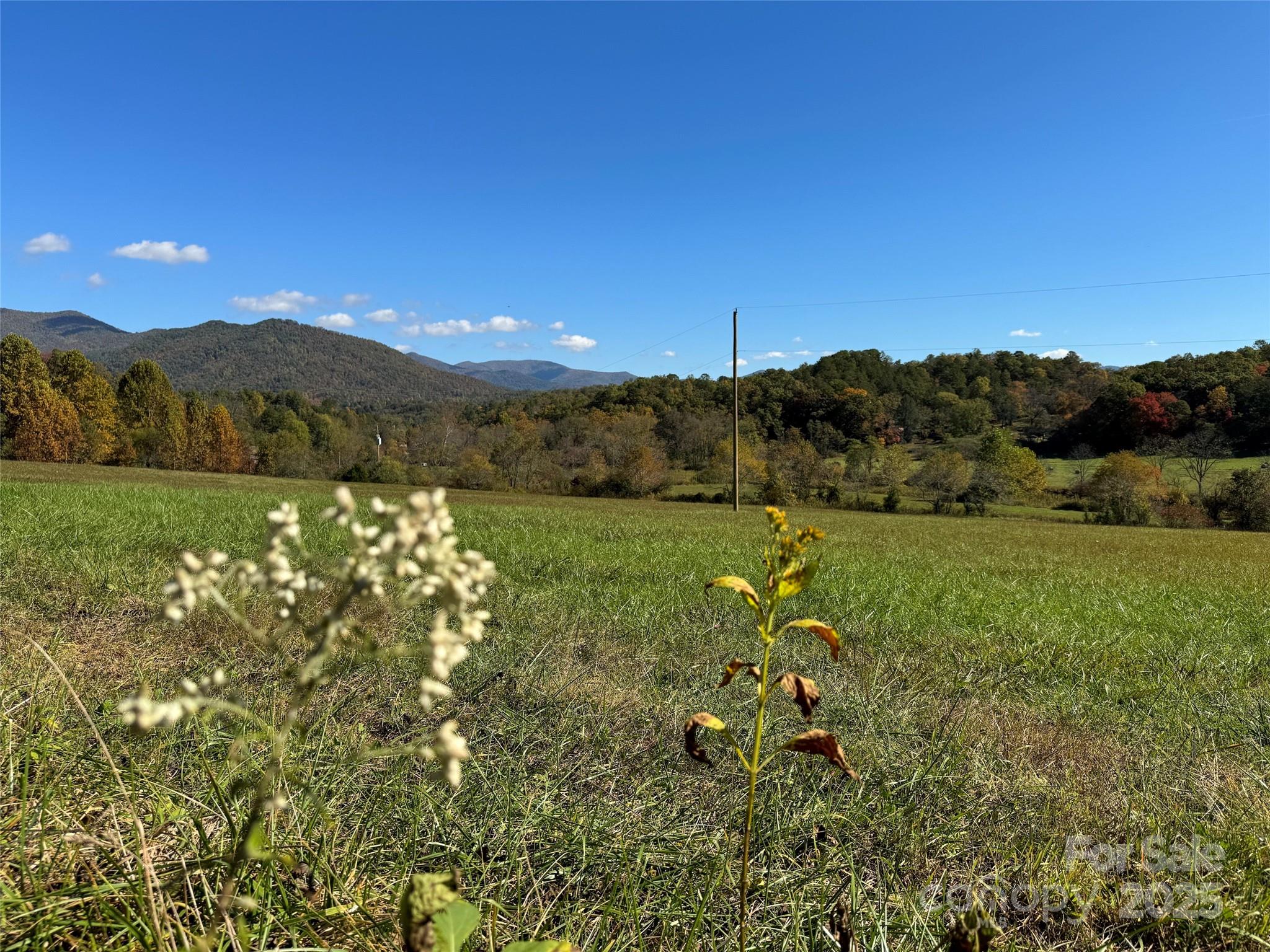 4136 Rose Creek Road Franklin NC 28734