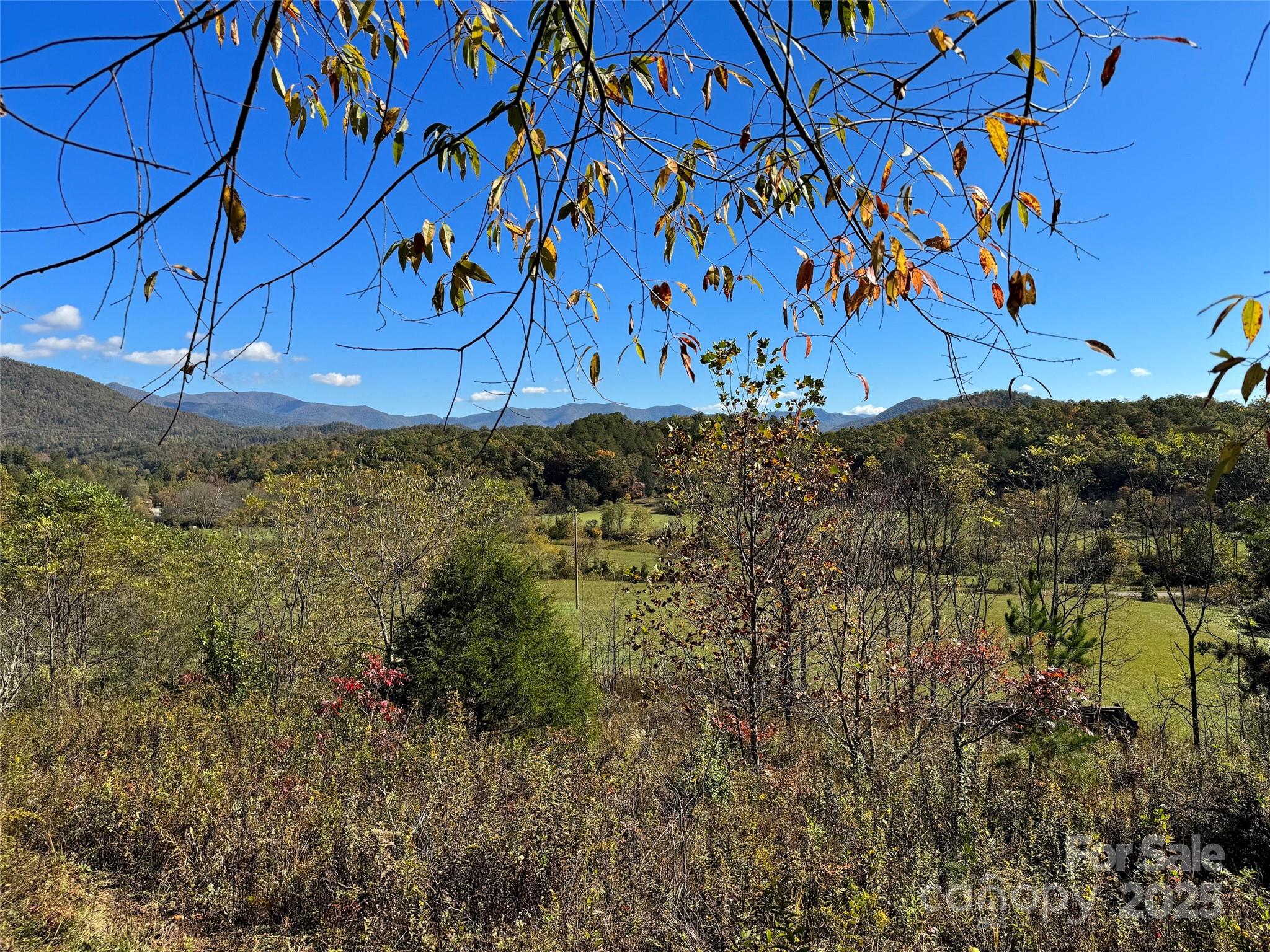 4136 Rose Creek Road Franklin NC 28734