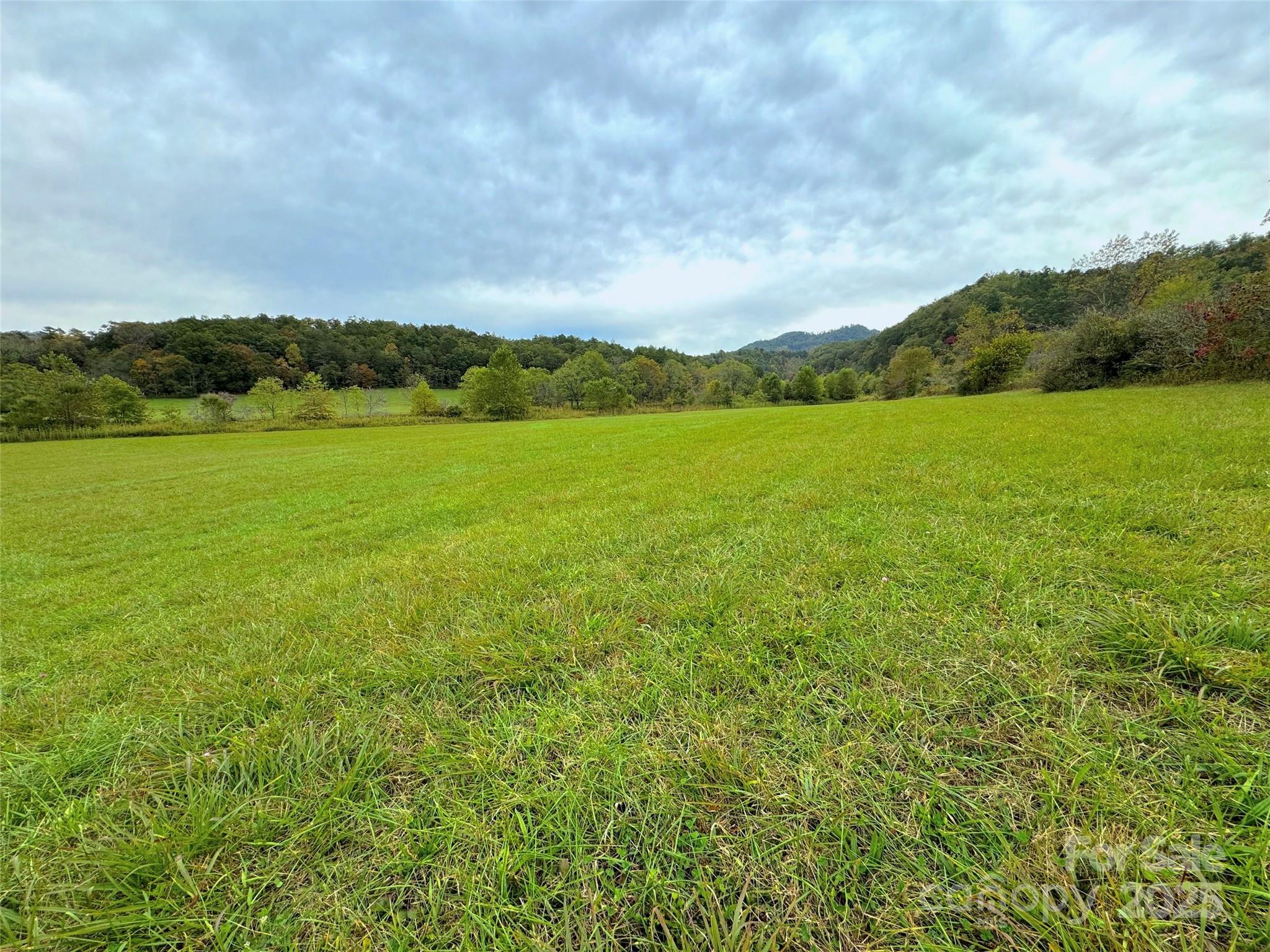 4136 Rose Creek Road Franklin NC 28734