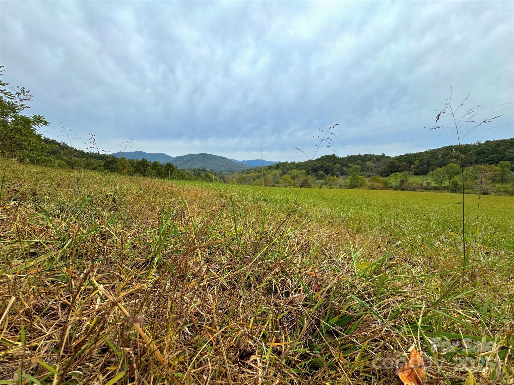 4136 Rose Creek Road Franklin NC 28734