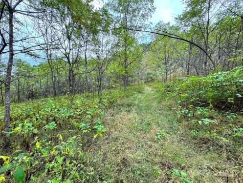 4136 Rose Creek Road Franklin NC 28734