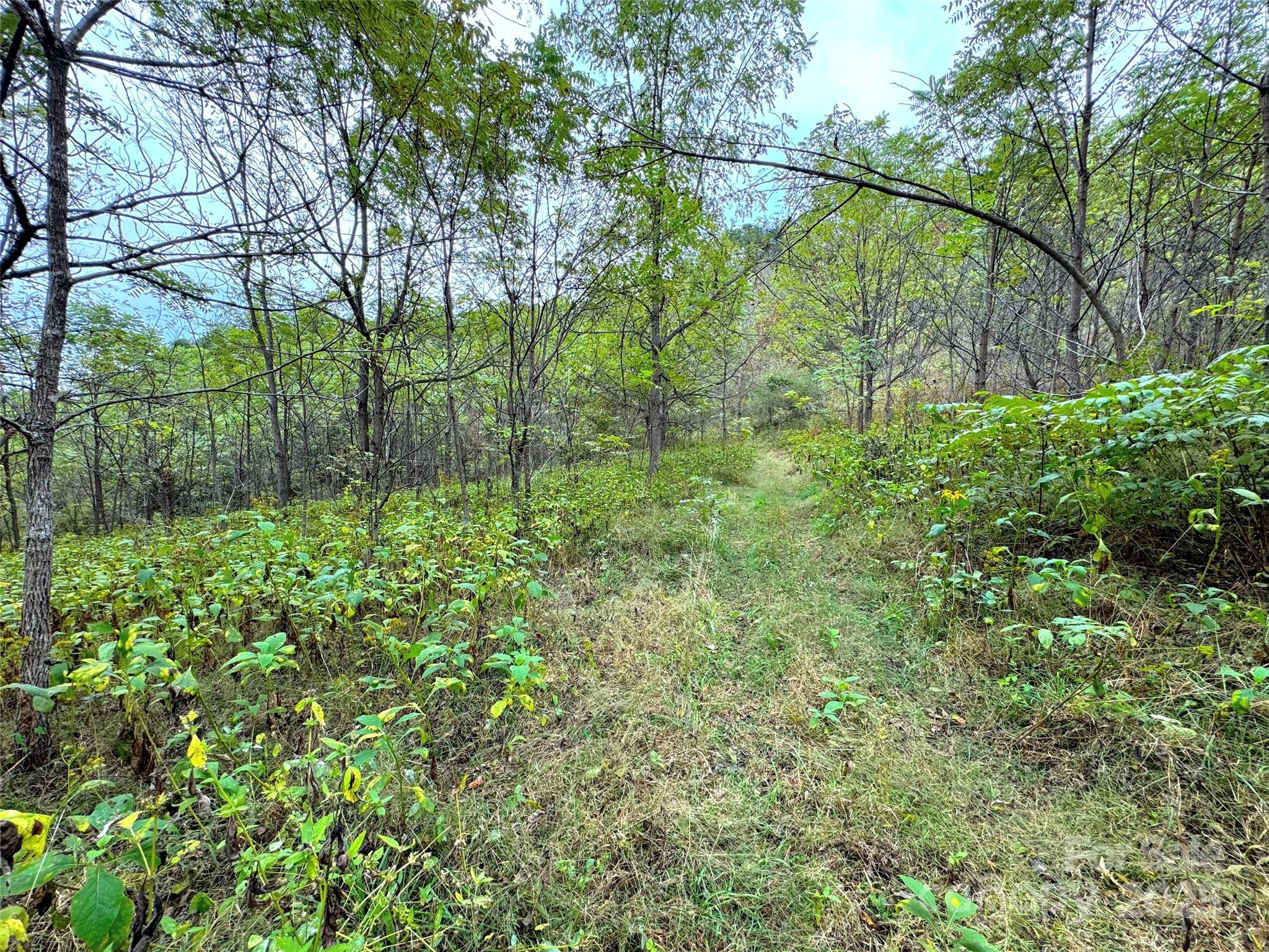 4136 Rose Creek Road Franklin NC 28734