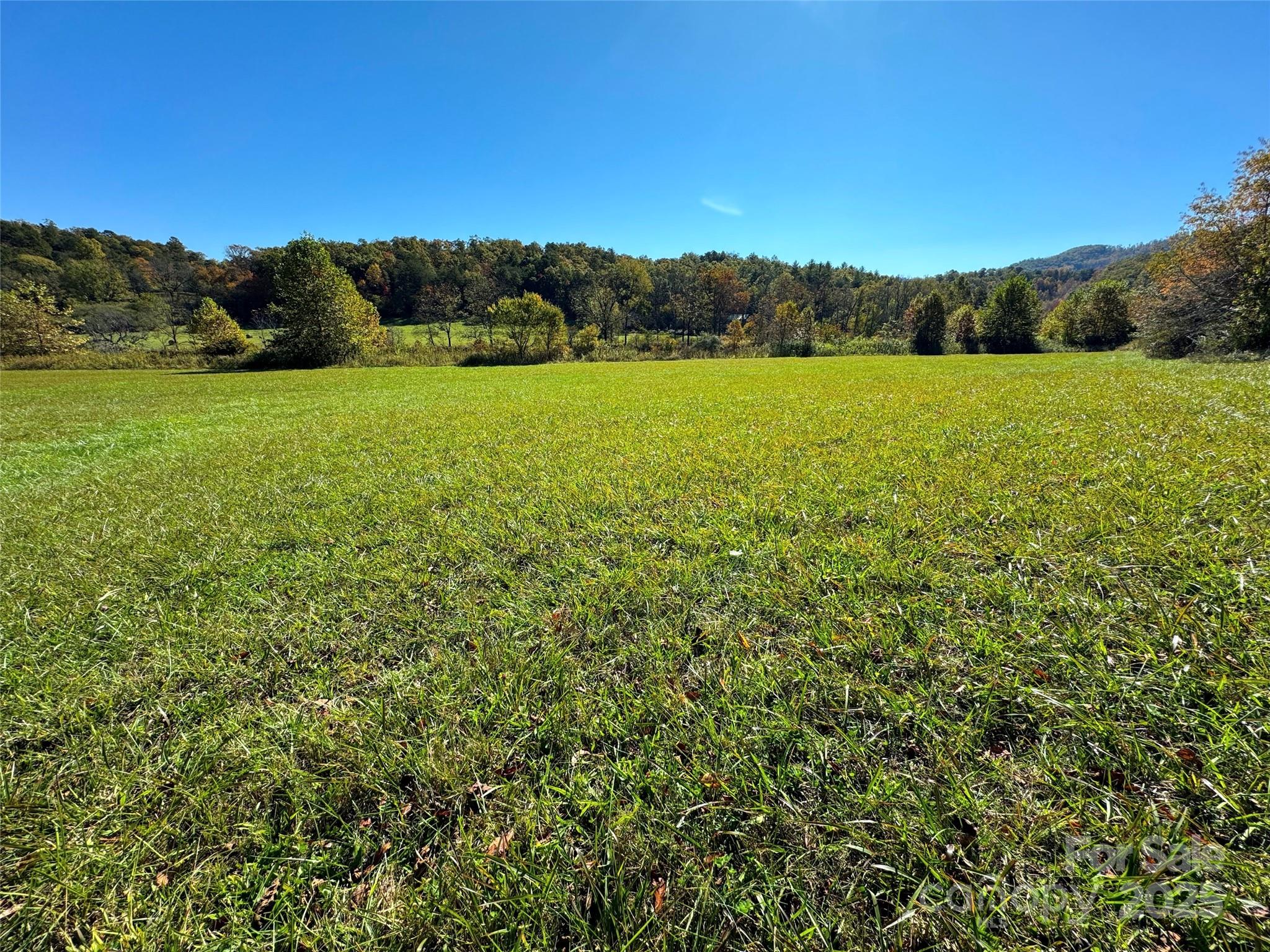 4136 Rose Creek Road Franklin NC 28734