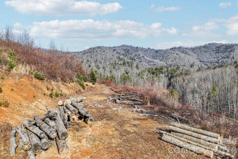 00000 Shelton Laurel Road Clyde NC 28721