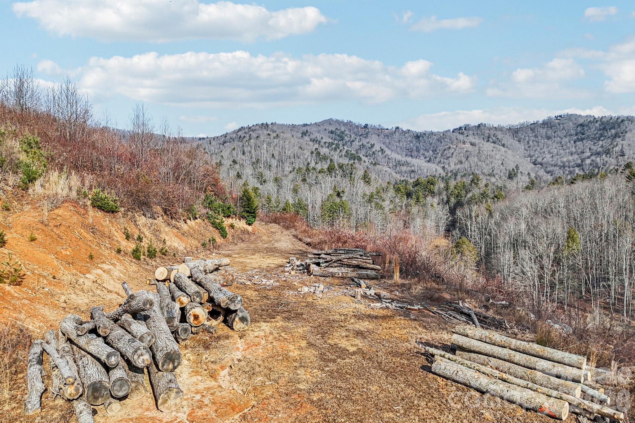 00000 Shelton Laurel Road Clyde NC 28721