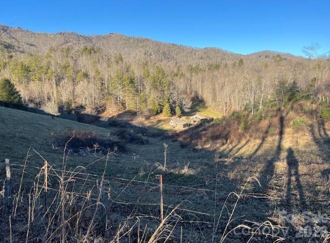 00000 Shelton Laurel Road Clyde NC 28721
