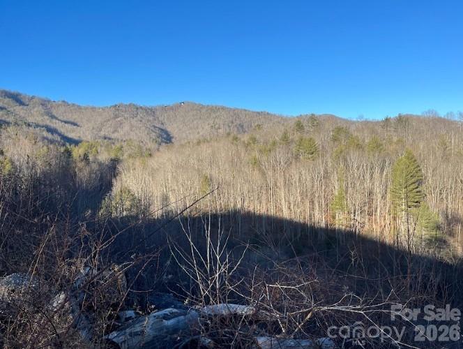 00000 Shelton Laurel Road Clyde NC 28721
