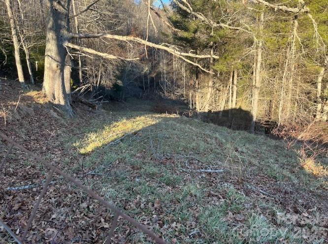 00000 Shelton Laurel Road Clyde NC 28721