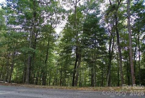 100 Black Bear Ridge Trail Zirconia NC 28790