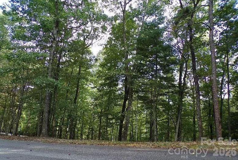 100 Black Bear Ridge Trail Zirconia NC 28790