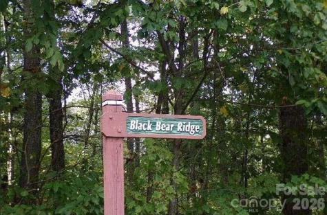 100 Black Bear Ridge Trail Zirconia NC 28790