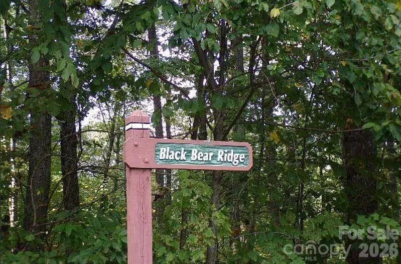 100 Black Bear Ridge Trail Zirconia NC 28790