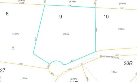100 Black Bear Ridge Trail Zirconia NC 28790
