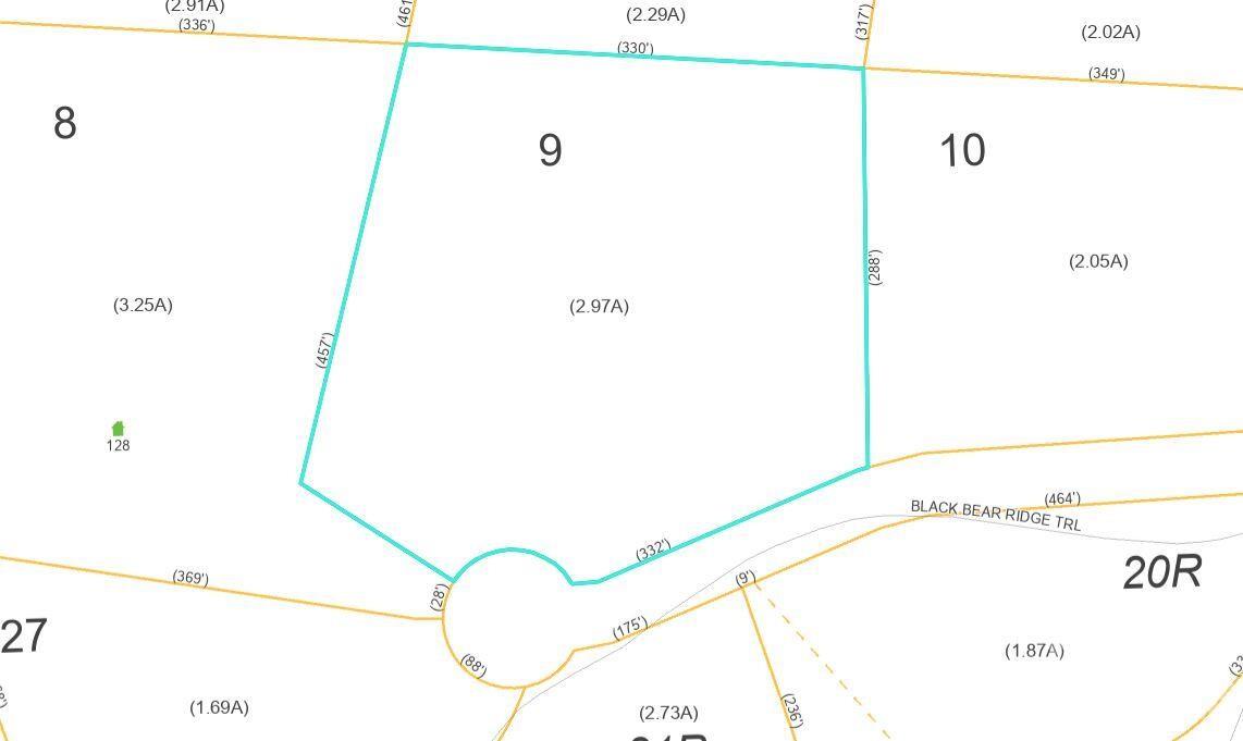 100 Black Bear Ridge Trail Zirconia NC 28790