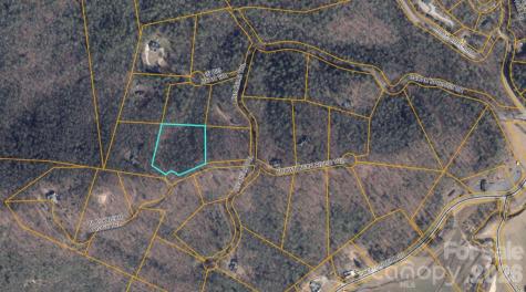 100 Black Bear Ridge Trail Zirconia NC 28790