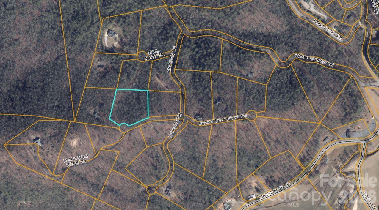 100 Black Bear Ridge Trail Zirconia NC 28790