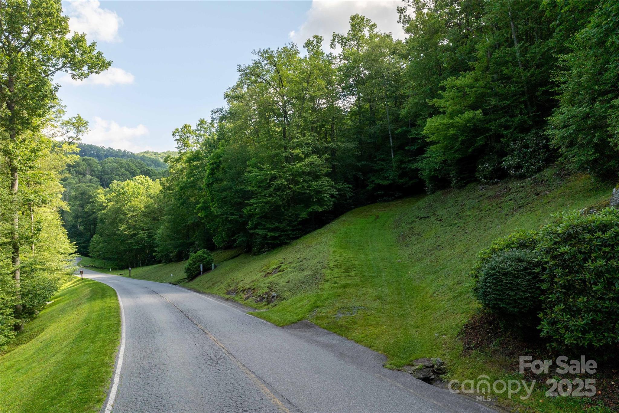 Tbd Lot 107 Firethorn Trail Blowing Rock NC 28605