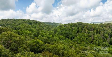 Tbd Lot 107 Firethorn Trail Blowing Rock NC 28605