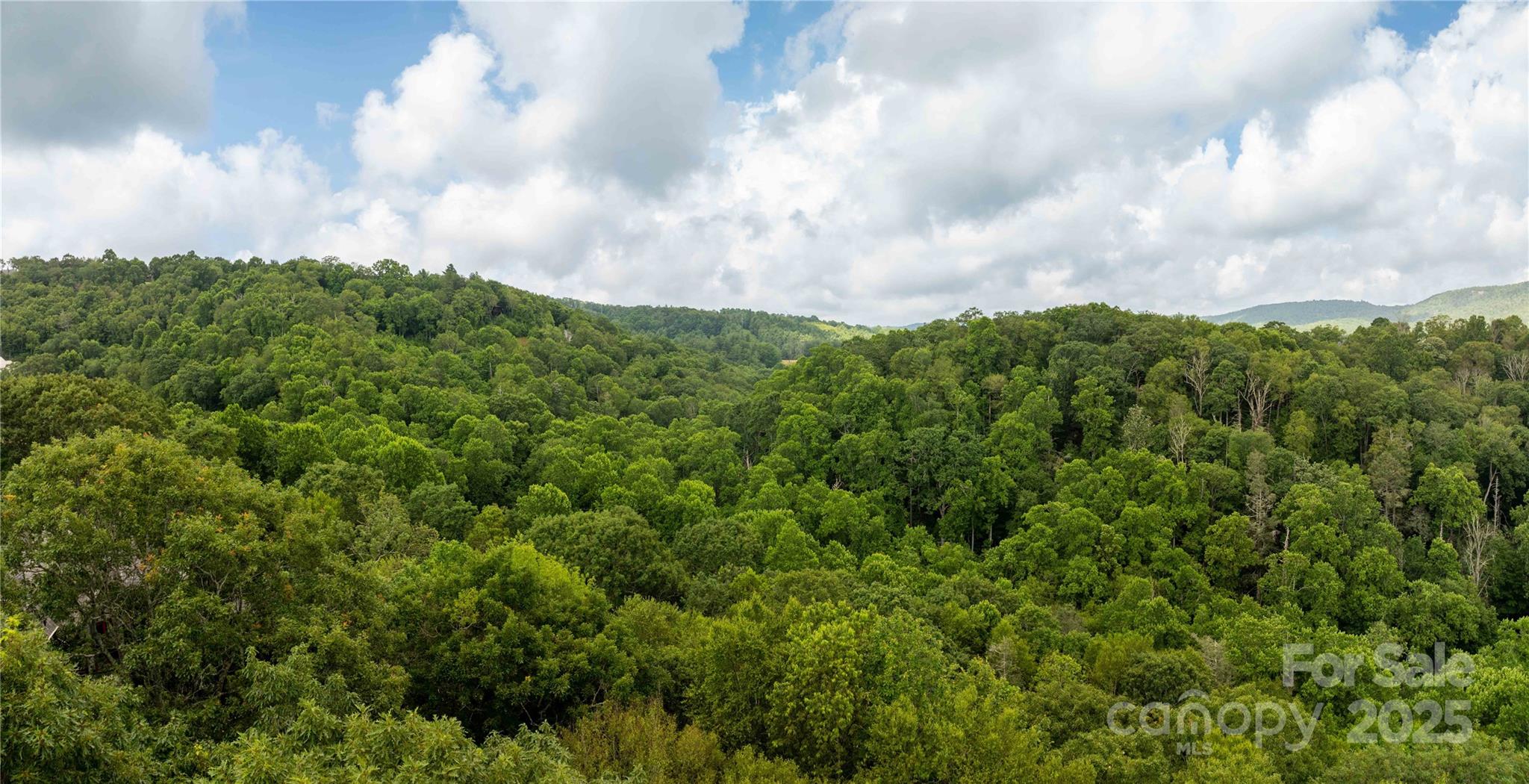 Tbd Lot 107 Firethorn Trail Blowing Rock NC 28605