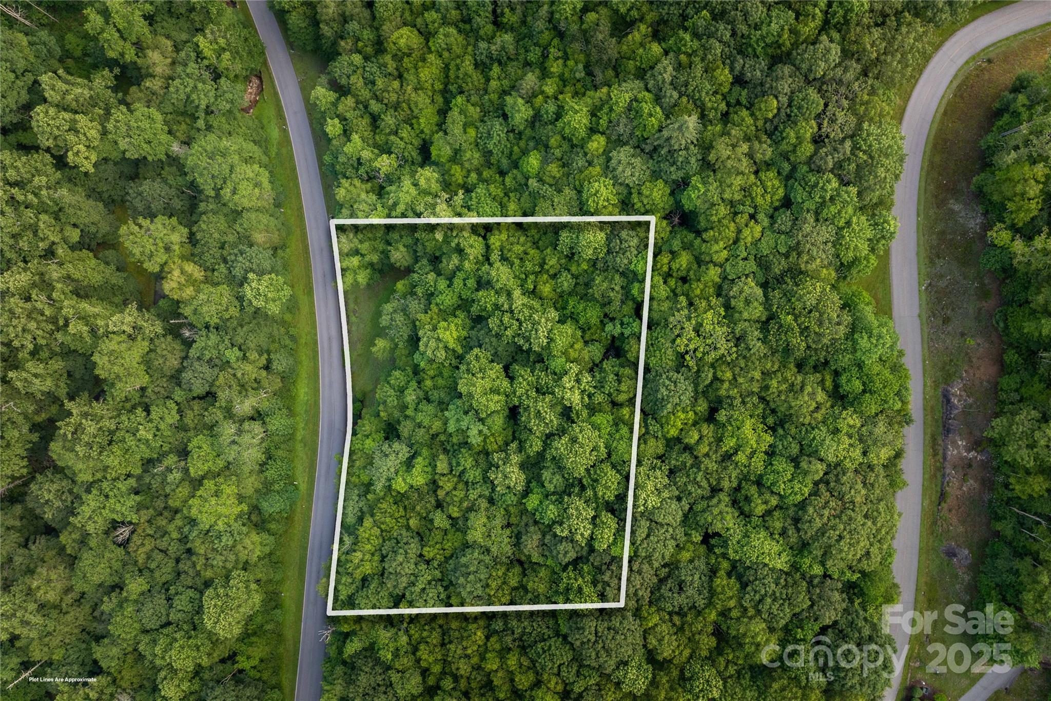 Tbd Lot 107 Firethorn Trail Blowing Rock NC 28605