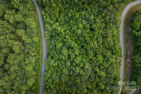 Tbd Lot 107 Firethorn Trail Blowing Rock NC 28605